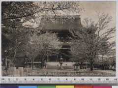 YMRa-027_06(奈良県吉野郡吉野町吉野山)