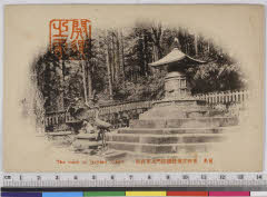 YMRa-033_07(栃木県日光市山内2301)