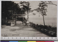 YMRa-051_03(宮崎県日南市大字宮浦3232)
