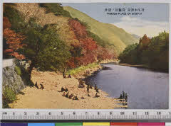 YMRa-065_02(滋賀県東近江市永源寺高野町41)