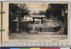 YMRa-087_10(和歌山県那智勝浦町南平野2270－1)