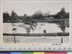 YMRb-014_04(岡山県岡山市北区後楽園1-5)