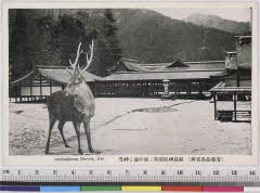 YMRb-034_03(広島県廿日市市宮島町1-1)