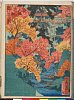 arcUP1846文久03・・芳豊〈1〉「都百景」「通天橋　紅楓」