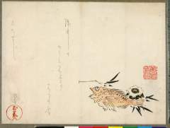 arcUP3295明治・・未詳「巳のとし」「丸屋（「玉若」）」