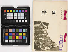 toushiboukeshozouhinnyūsatsu