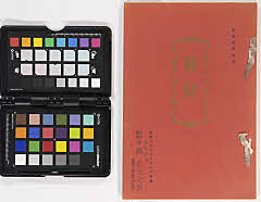 toushiboukeshozouhinnyūsatsu