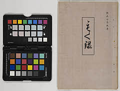 toushiboukeshozouhinnyūsatsu