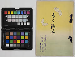 toukyōshisaitamakengunmakenboukegoshozouhintenkannyūsatsu