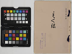 toushiboukeshozouhinnyūsatsu