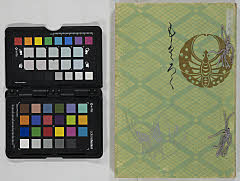 ikedakoushakukegozouhinnyūsatsu