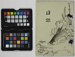 boukegoshozoushogadougunyūsatsu