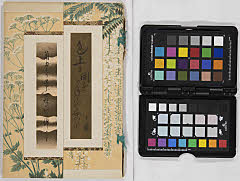 tsunodachikureisoushōiaihinnyūsatsu