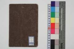 teikinouraiseichuushou