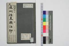 teikinouraiseichuushou