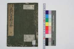 teikinouraiseichuushou