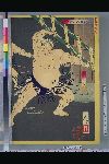 NDL-114-01-044明治１９・02・01芳年「新撰東錦絵」「神明相撲闘争之図」