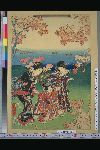 NDL-153-00-043安政０１・・豊国〈3〉「嵐山桜狩之図」