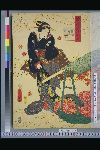 NDL-162-00-051安政０６・・豊国〈3〉「源氏後集余情」「胡蝶」
