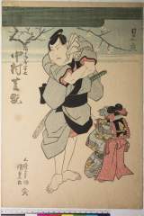 kuni80-1538(P)・