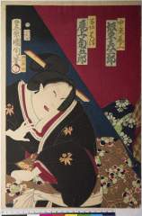 kuni80-1585(P)・