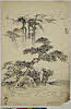 有