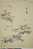 有