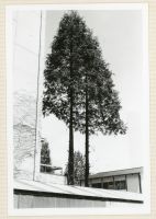 fnp03_127(京都府京都市下京区新町通仏光寺上ル船鉾町)
