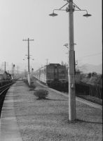 hori_1654_1(京都府亀岡市篠町馬堀六ノ坪_馬堀駅)