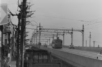 hori_2682(京都府京都市下京区上中之町_七条大宮)