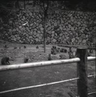 kimr1_824()
