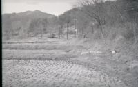 kimr2_446(京福)
