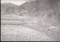kimr2_447(京福)