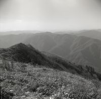 kimr2_662()