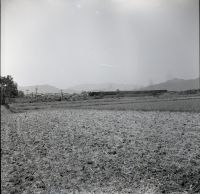 kimr3_094()