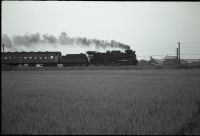 kimr3_280()