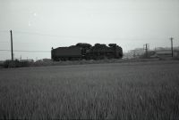 kimr3_281()