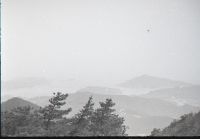 kimr3_449()