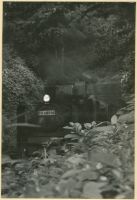 kimr_110(嵯峨)