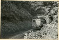 kimr_113(嵯峨)