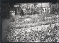 nagaeke_0007(京都府京都市下京区船鉾町)