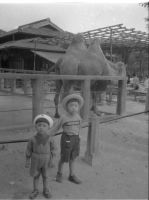 nagaeke_1785()