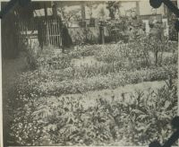 nagaeke_2084(京都府京都市下京区船鉾町)