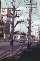 nkmr2_193(京都府京都市上京区下之町_丸太町御前)