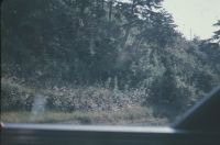 nkmr2_426()