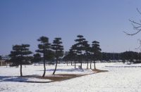 nkmr2_725()