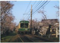 nkmr3_211(京都府京都市右京区宇多野法安寺町_桜のトンネル)