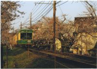 nkmr3_241(京都府京都市右京区宇多野法安寺町_桜のトンネル)