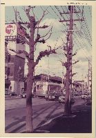 nkmr_153(京都府京都市上京区下之町_丸太町通御前西入)