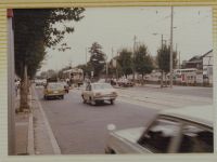 nshu1_165(京都府京都市北区衣笠天神森町_わら天神)